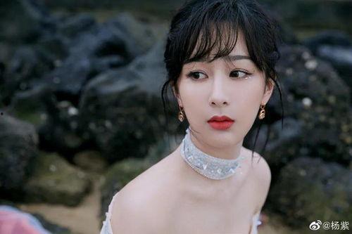 杨紫最新爆料贴吧微博号,揭秘娱乐圈幕后故事，独家微博号带你一探究竟！”